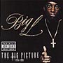 Big L - The Big Picture