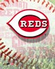 Cincinnati Reds