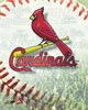 Stlouis Cardinals