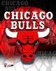 Bulls