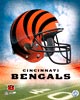Cincinnati Bengals
