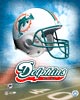Miami Dolphins